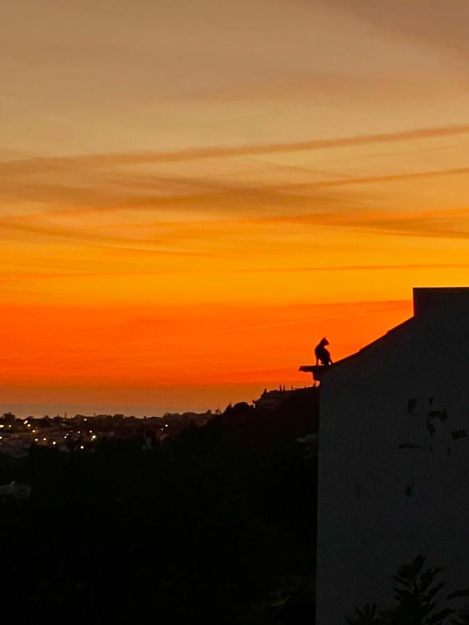 Ocean View Skyline Apartment ‚Hakuna Matata' Albufeira Esterno foto
